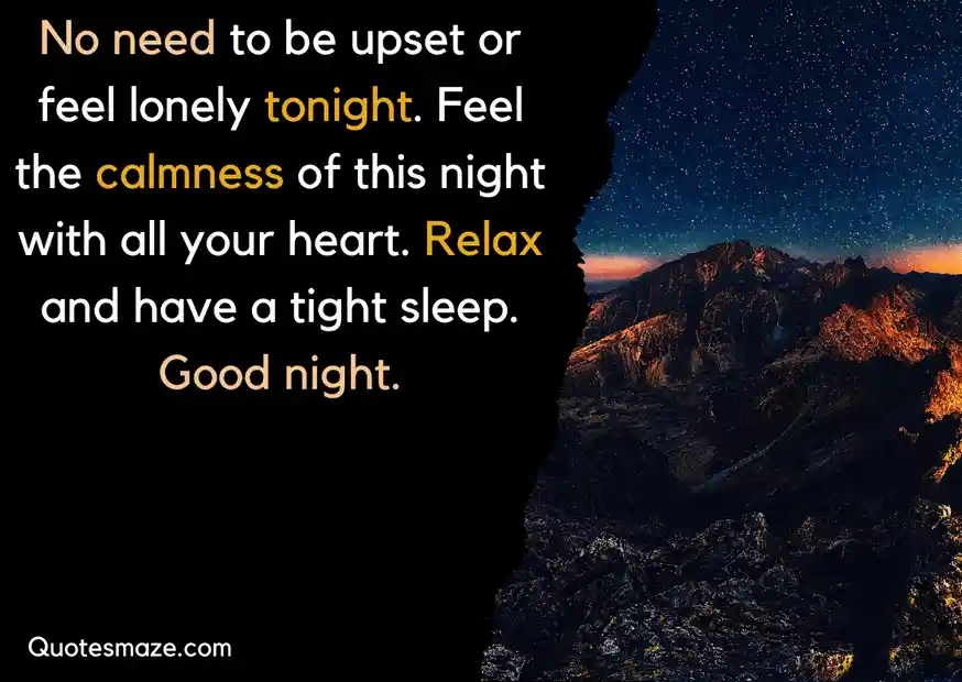 good quotes about night