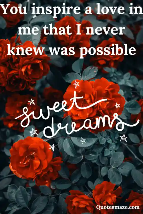 beautiful deep red roses romantic sweet dreams images
