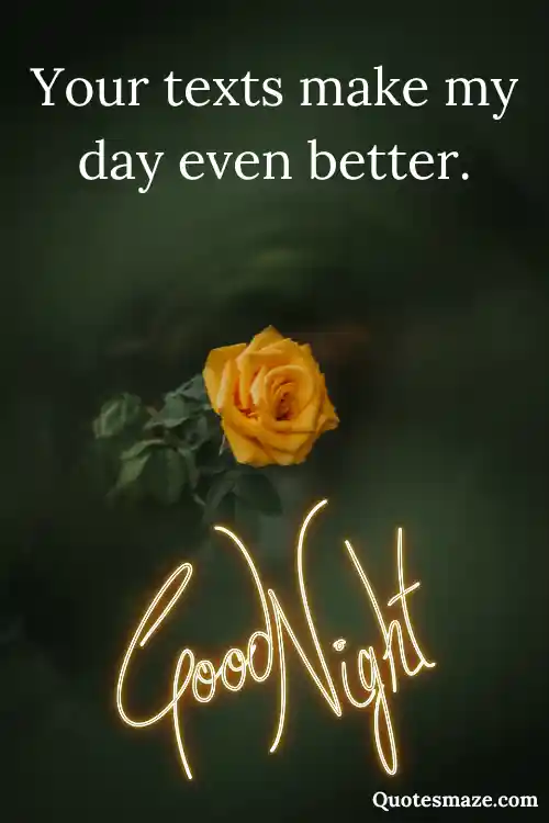 romantic Yellow rose with good night Quotes