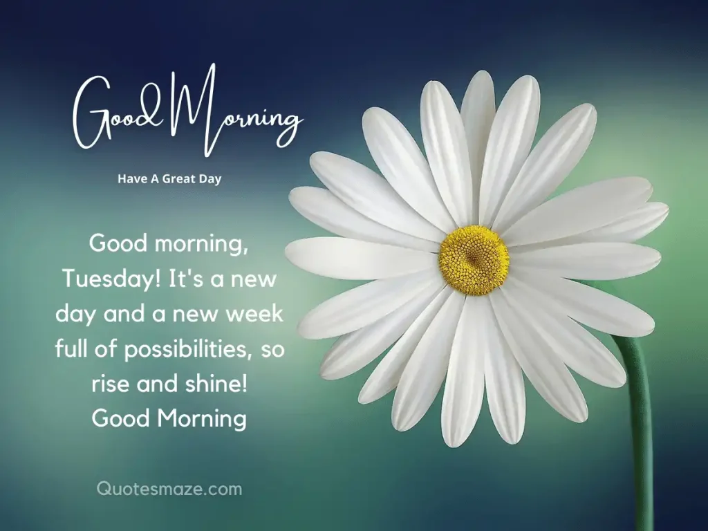 Beautiful Good Morning Tuesday Images with Quotes and Wishes