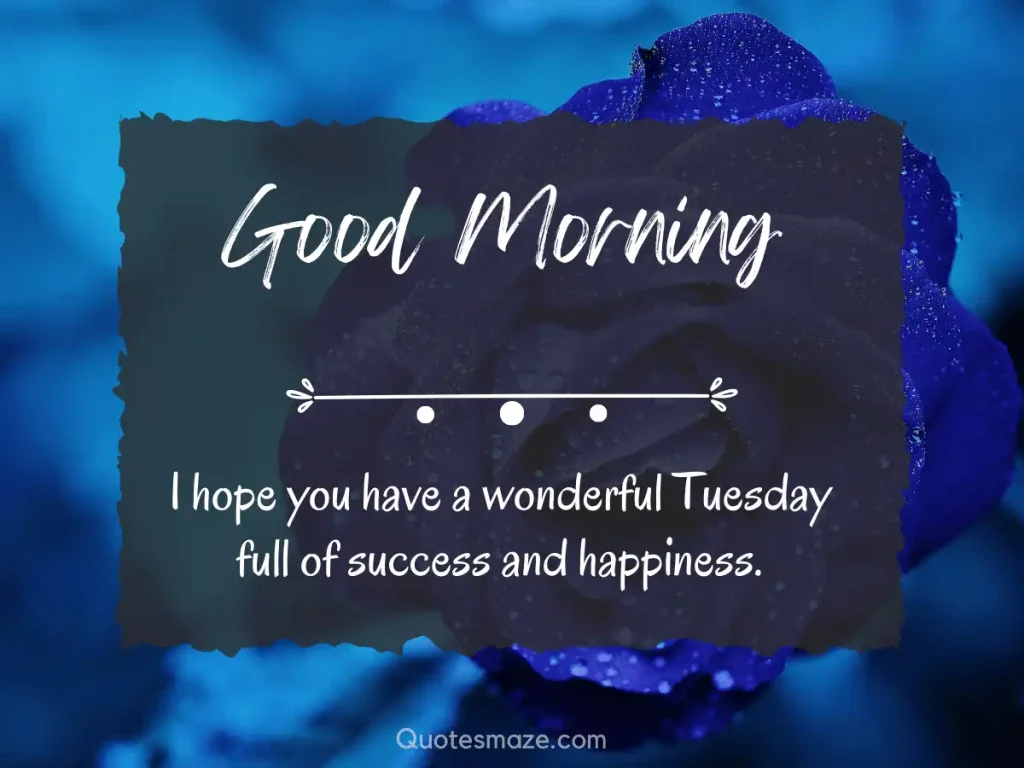 Have a Wonderful Tuesday wishes