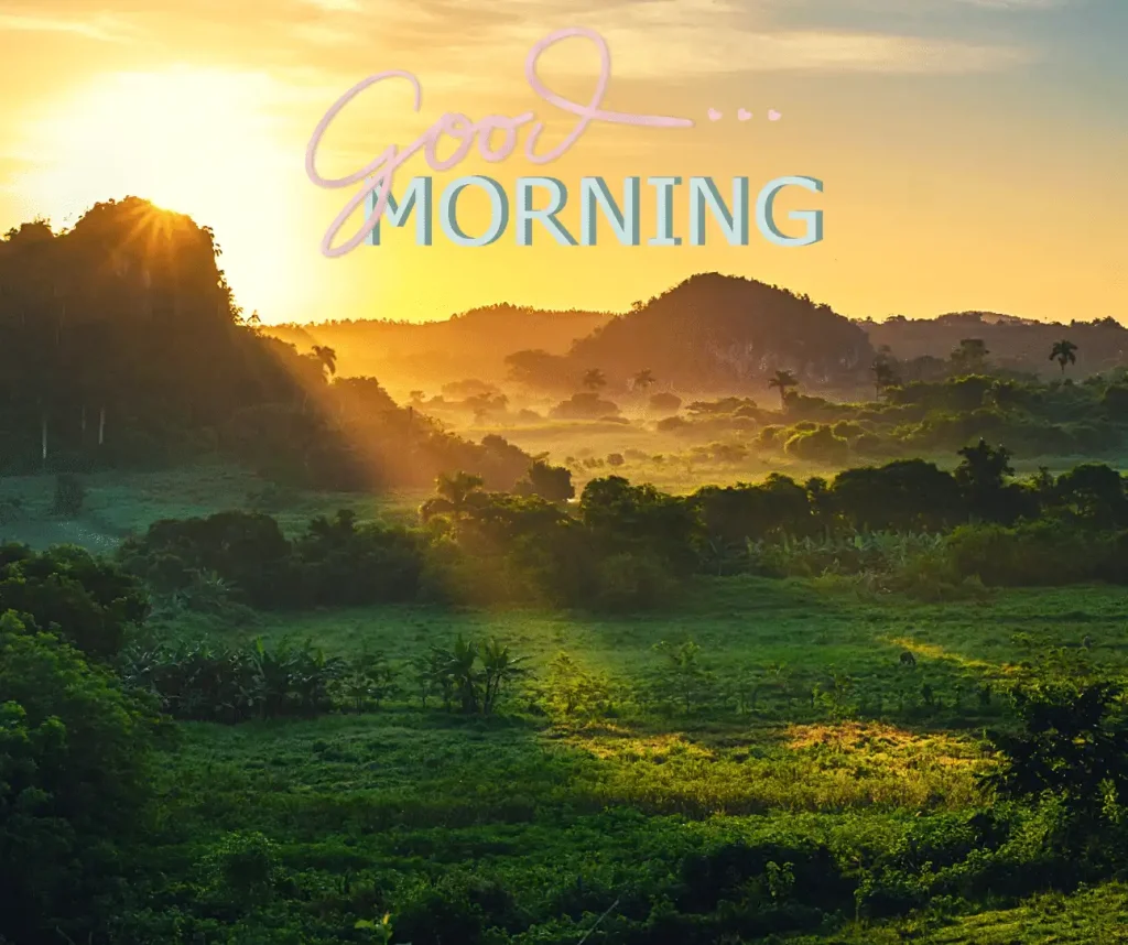 wonderfully good morning vibes