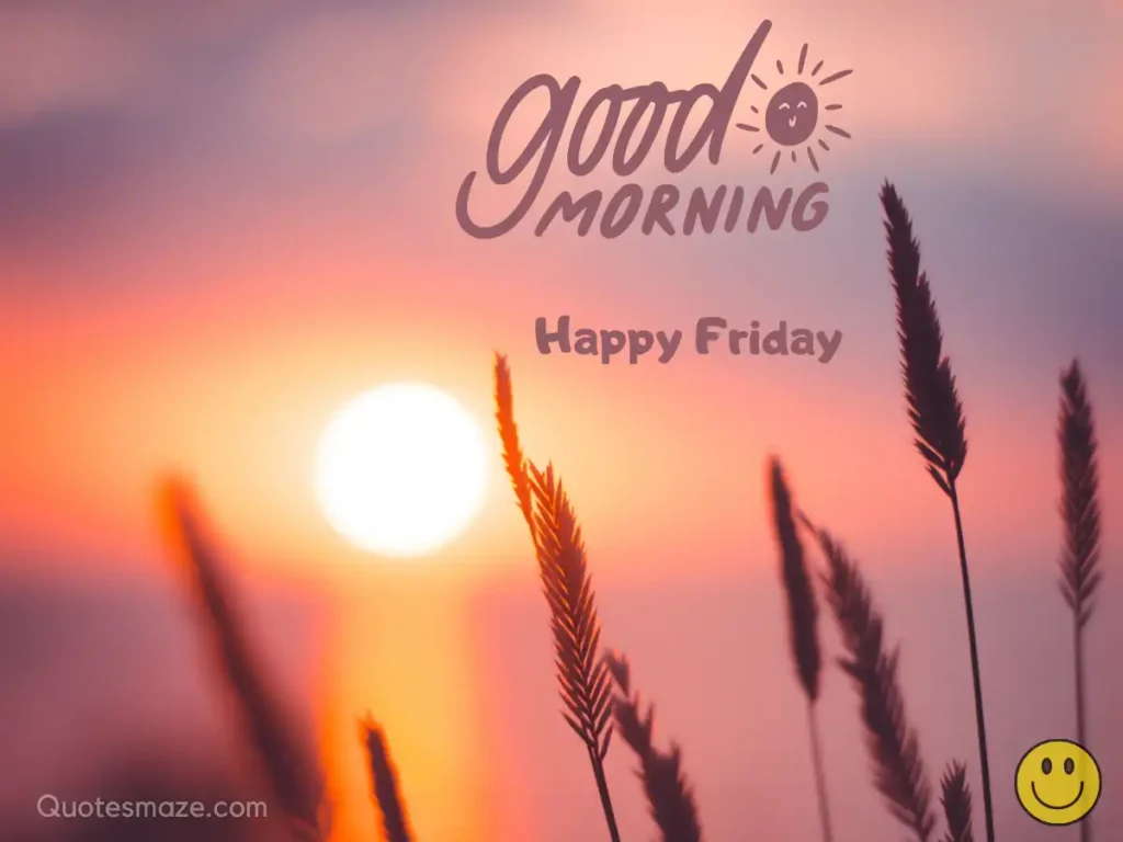 100+ Good Morning Friday Images, Wishes and Quotes (2023)